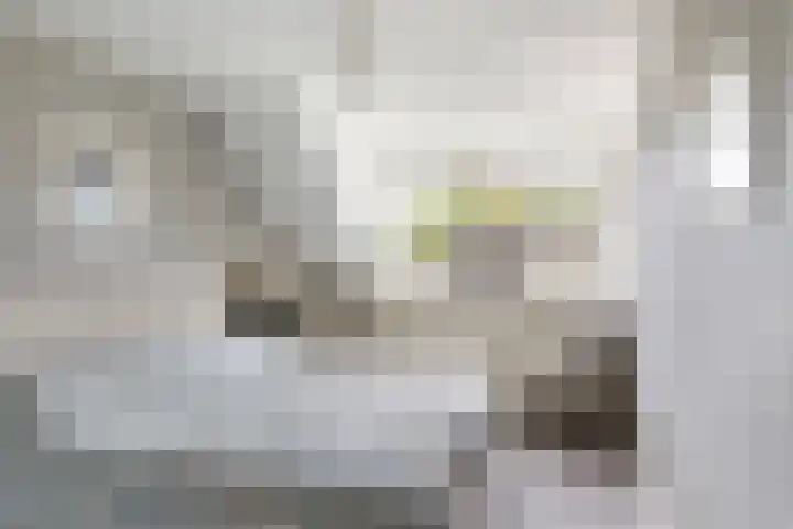 Willem Dreeslaan 261 Epe thumbnail 12