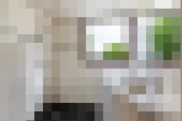 Willem Dreeslaan 261 Epe thumbnail 18