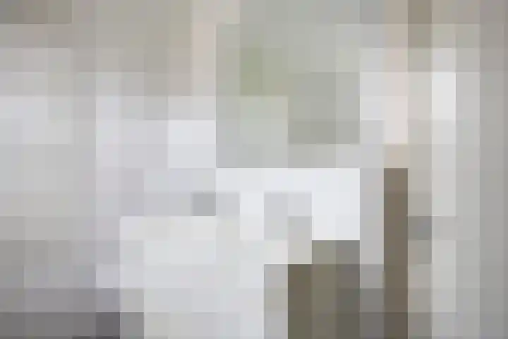 Willem Dreeslaan 29 Oosterhout thumbnail 20