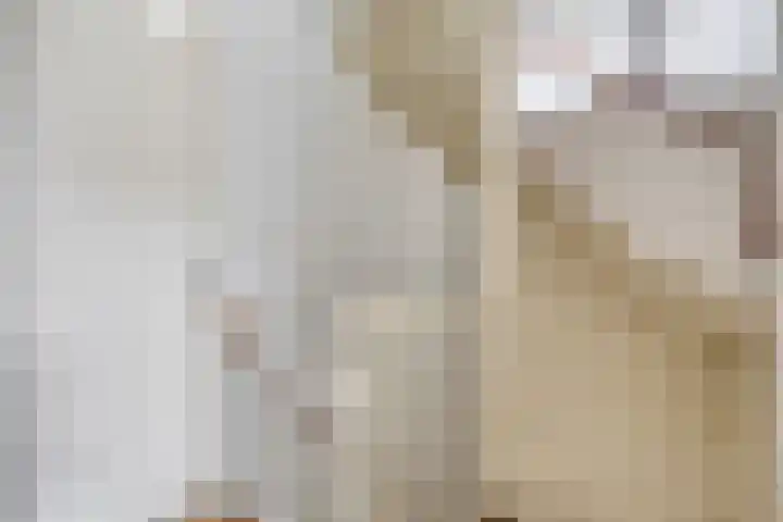 Willem Dreeslaan 29 Oosterhout thumbnail 22