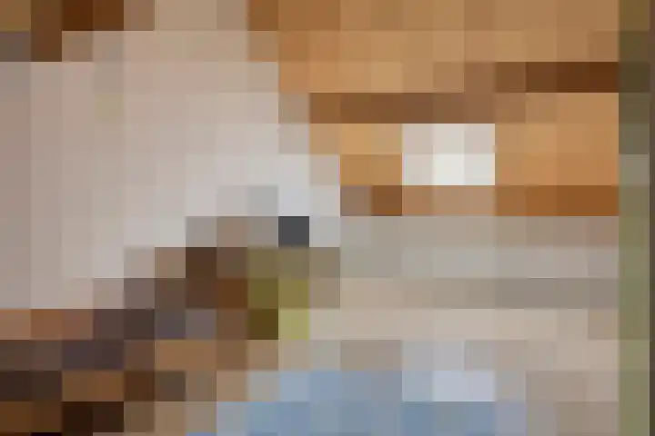 Willem Dreeslaan 29 Oosterhout thumbnail 23
