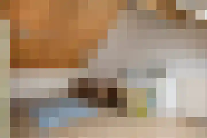 Willem Dreeslaan 29 Oosterhout thumbnail 24