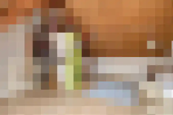 Willem Dreeslaan 29 Oosterhout thumbnail 25