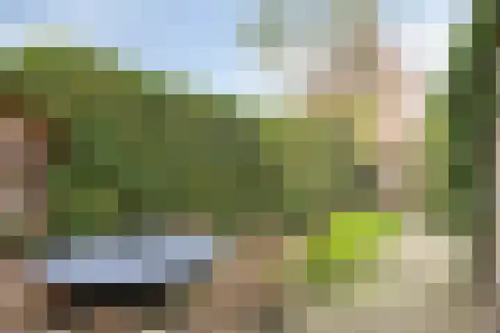 Willem Dreeslaan 29 Oosterhout thumbnail 27