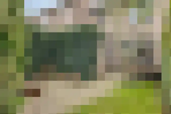 Willem Dreeslaan 29 Oosterhout thumbnail 28