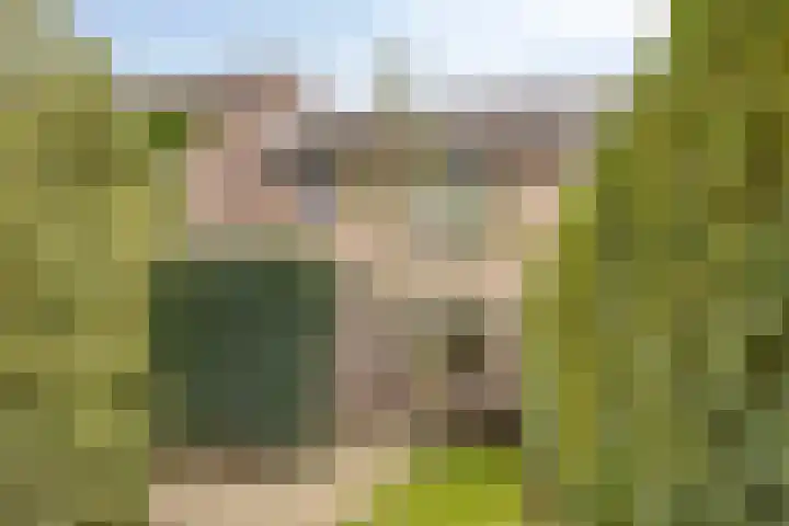 Willem Dreeslaan 29 Oosterhout thumbnail 29