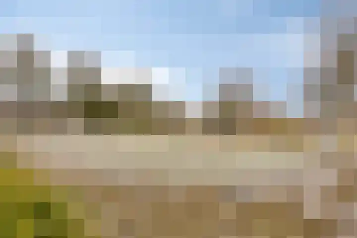 Willem Dreeslaan 29 Oosterhout thumbnail 31