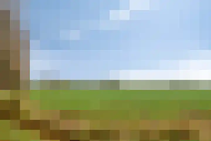 Willem Dreeslaan 29 Oosterhout thumbnail 32