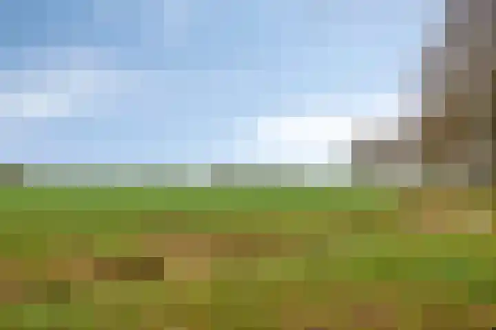 Willem Dreeslaan 29 Oosterhout thumbnail 33