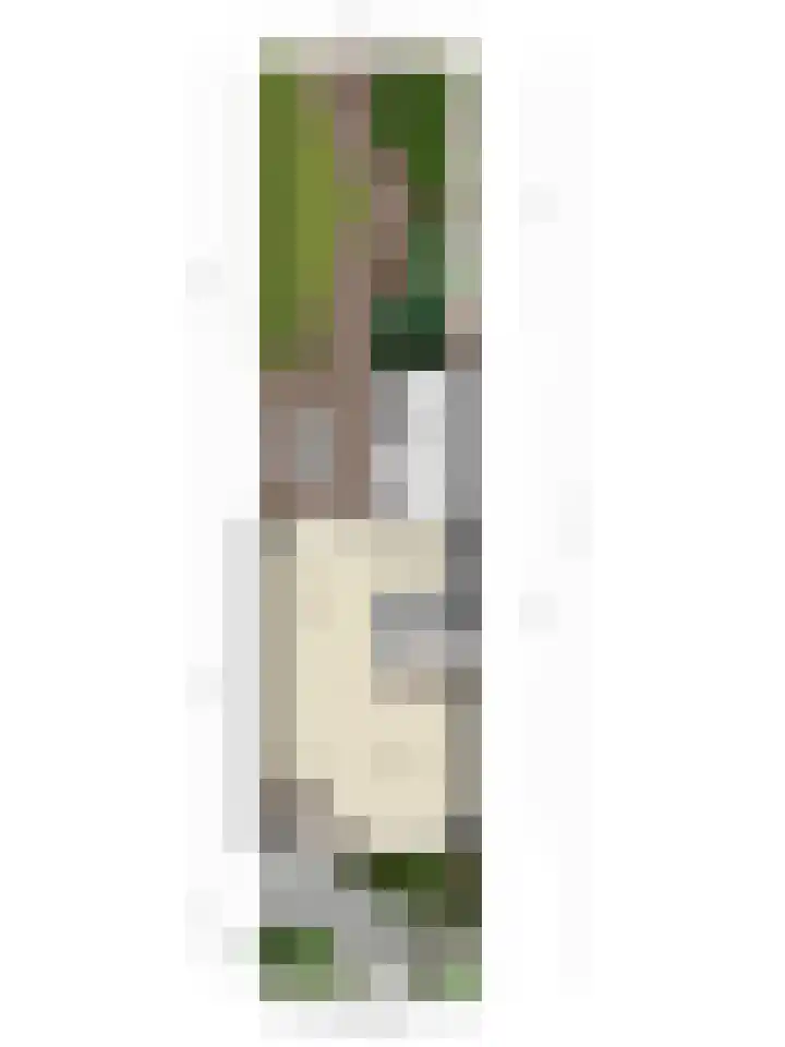 Willem Dreeslaan 29 Oosterhout thumbnail 37