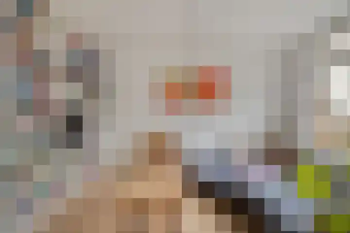 Willem Dreeslaan 29 Oosterhout thumbnail 4