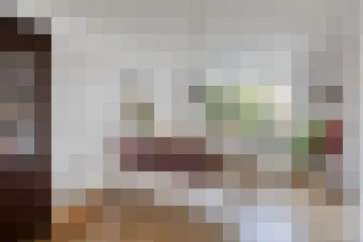 Willem Dreeslaan 29 Oosterhout thumbnail 6
