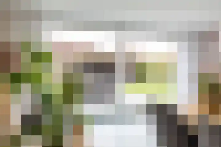 Willem Dreeslaan 31 Marum thumbnail 18