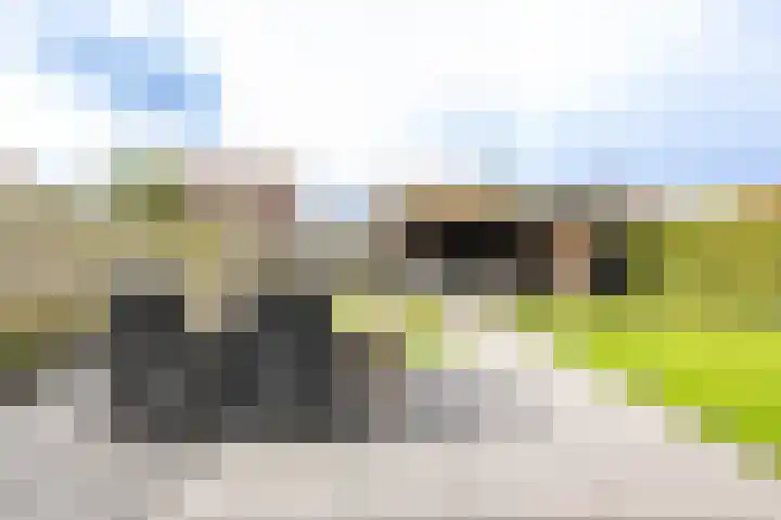 Willem Dreeslaan 31 Marum thumbnail 24