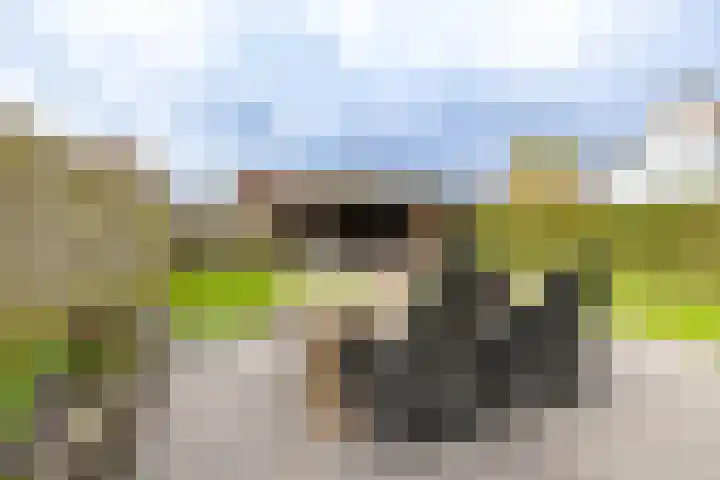 Willem Dreeslaan 31 Marum thumbnail 25
