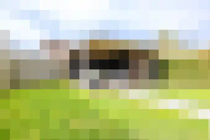 Willem Dreeslaan 31 Marum thumbnail 26