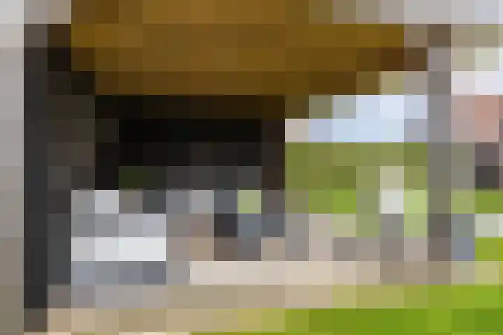 Willem Dreeslaan 31 Marum thumbnail 28