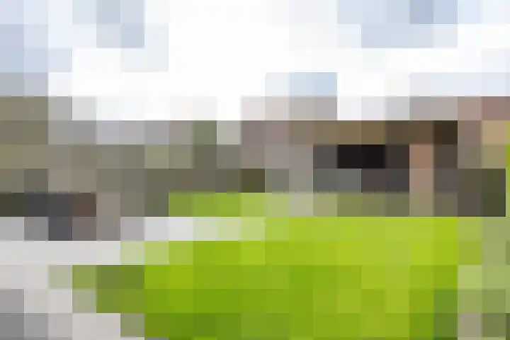 Willem Dreeslaan 31 Marum thumbnail 30