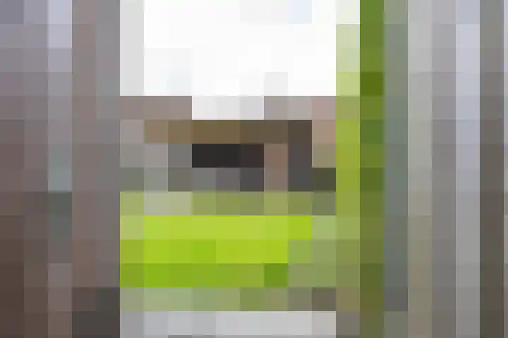 Willem Dreeslaan 31 Marum thumbnail 31