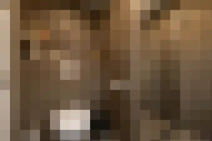 Willem Dreeslaan 31 Marum thumbnail 43