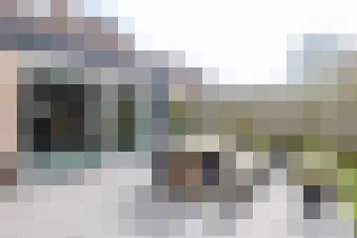 Willem Dreeslaan 31 Marum thumbnail 51