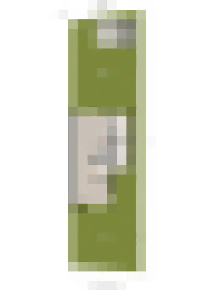 Willem Dreeslaan 31 Marum thumbnail 68