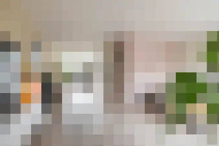 Willem Dreeslaan 31 Marum thumbnail 8