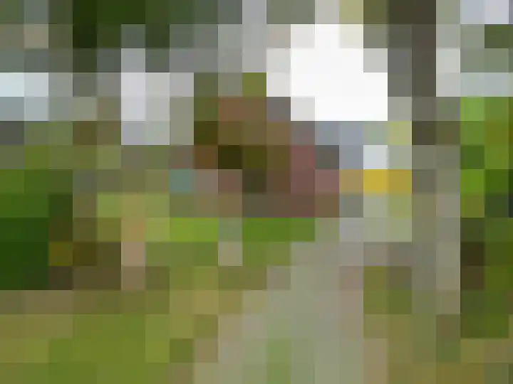 Willem Dreeslaan 41 Marum thumbnail 11