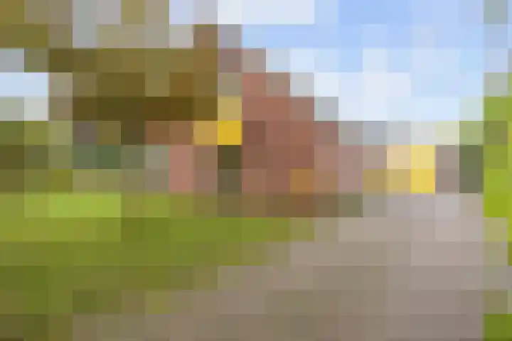 Willem Dreeslaan 41 Marum thumbnail 14