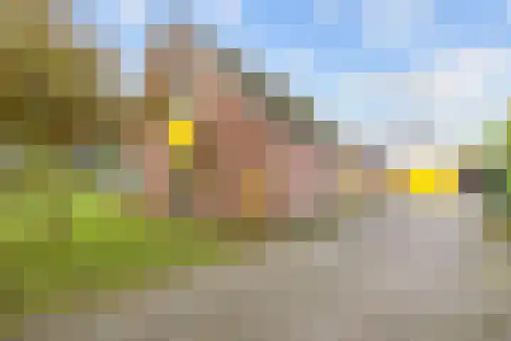 Willem Dreeslaan 41 Marum thumbnail 15