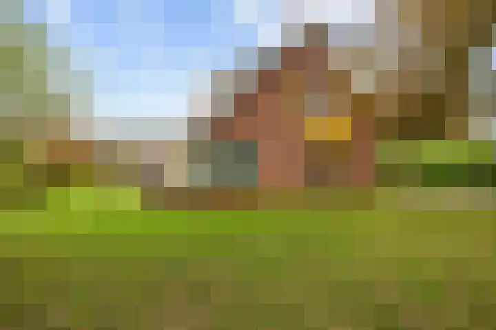 Willem Dreeslaan 41 Marum thumbnail 16