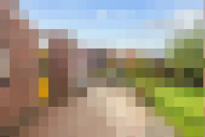 Willem Dreeslaan 41 Marum thumbnail 61