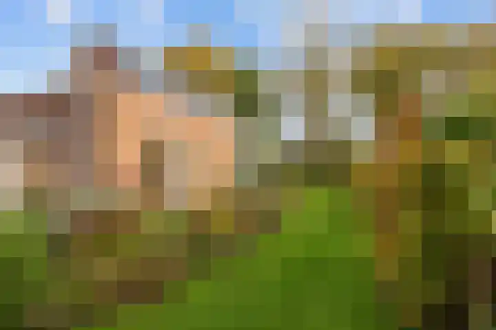 Willem Dreeslaan 41 Marum thumbnail 68