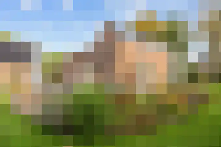 Willem Dreeslaan 41 Marum thumbnail 69
