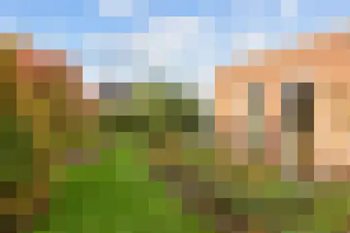 Willem Dreeslaan 41 Marum thumbnail 71