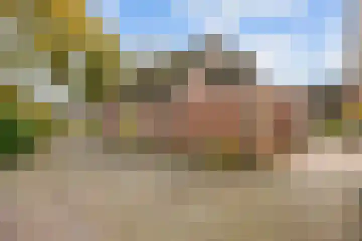 Willem Dreeslaan 41 Marum thumbnail 74