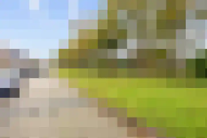 Willem Dreeslaan 41 Marum thumbnail 8