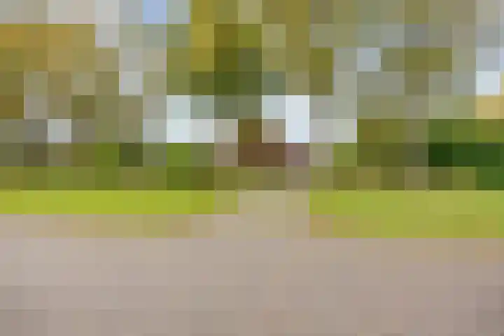 Willem Dreeslaan 41 Marum thumbnail 9