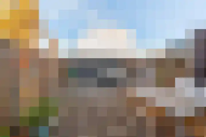 Willem Dreeslaan 42 Delft thumbnail 14