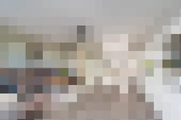 Willem Dreeslaan 42 Delft thumbnail 16