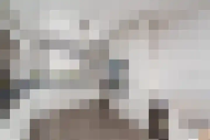 Willem Dreeslaan 42 Delft thumbnail 17