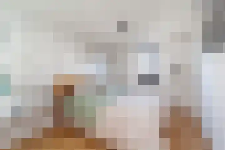 Willem Dreeslaan 42 Delft thumbnail 19