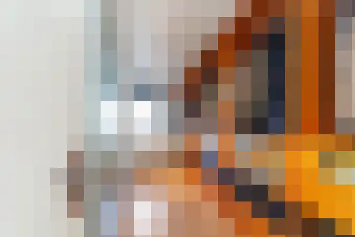 Willem Dreeslaan 42 Delft thumbnail 21