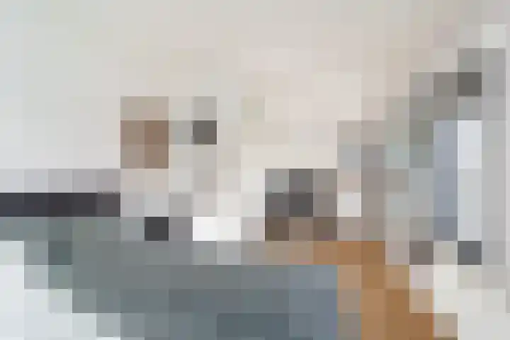 Willem Dreeslaan 42 Delft thumbnail 24