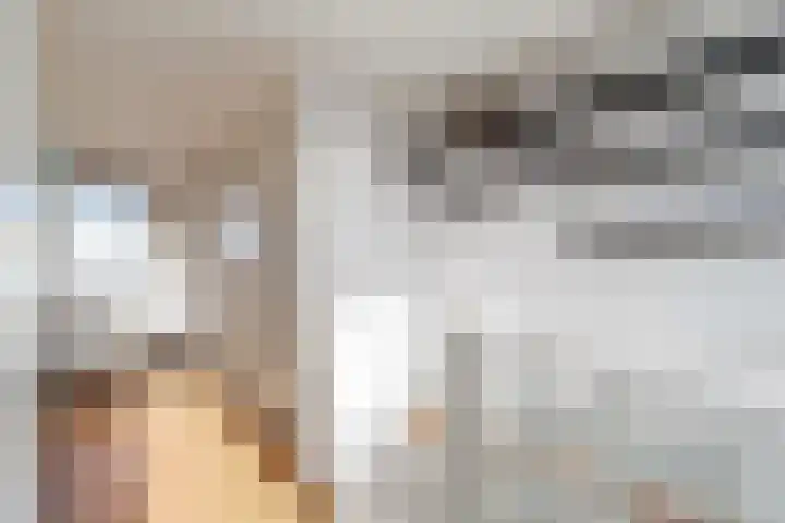 Willem Dreeslaan 42 Delft thumbnail 27