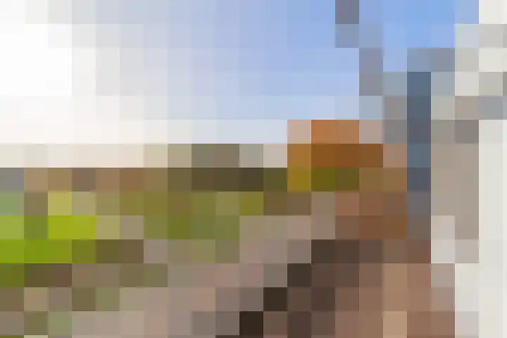Willem Dreeslaan 42 Delft thumbnail 33