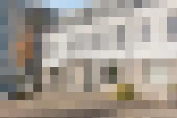 Willem Dreeslaan 42 Delft thumbnail 36