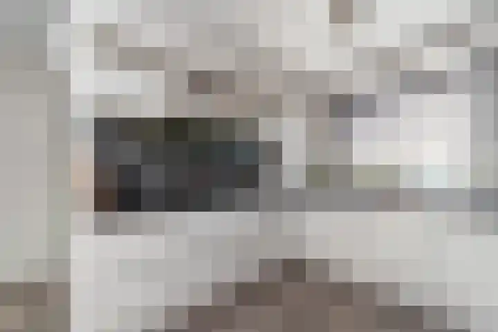 Willem Dreeslaan 42 Delft thumbnail 4