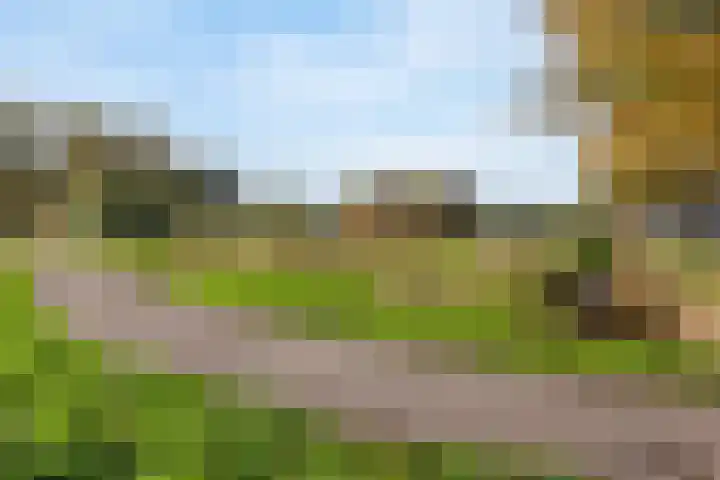 Willem Dreeslaan 42 Delft thumbnail 6
