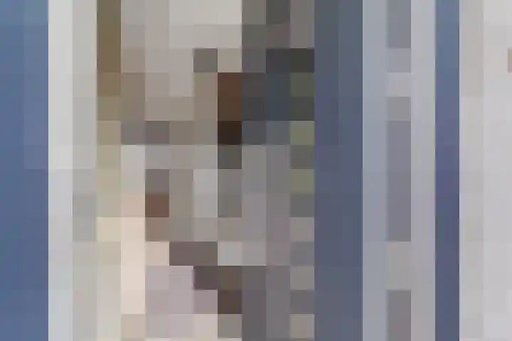 Willem Dreeslaan 42 Delft thumbnail 8